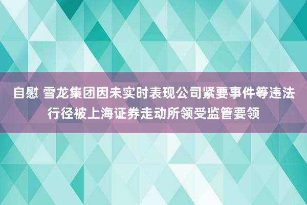 自慰 雪龙集团因未实时表现公司紧要事件等违法行径被上海证券走动所领受监管要领