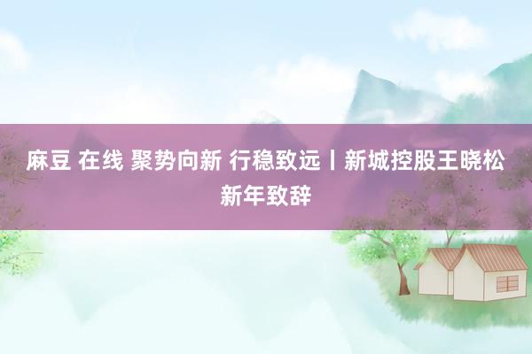 麻豆 在线 聚势向新 行稳致远丨新城控股王晓松新年致辞