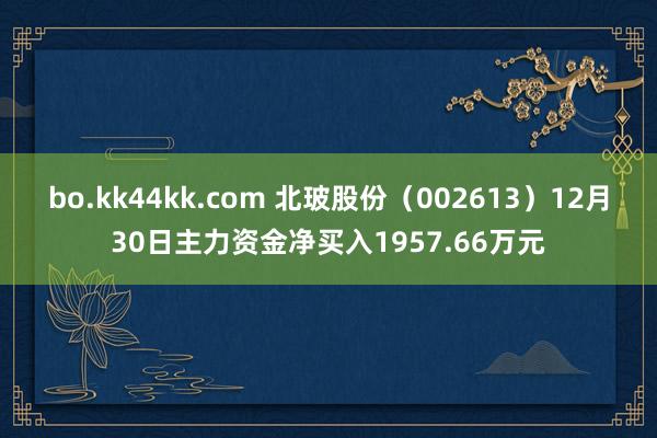 bo.kk44kk.com 北玻股份（002613）12月30日主力资金净买入1957.66万元