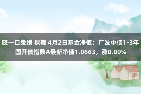 咬一口兔娘 裸舞 4月2日基金净值：广发中债1-3年国开债指数A最新净值1.0663，涨0.09%