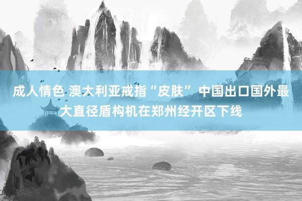 成人情色 澳大利亚戒指“皮肤” 中国出口国外最大直径盾构机在郑州经开区下线