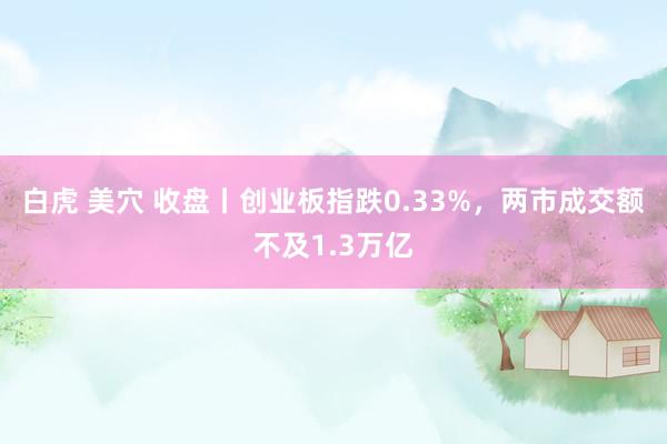 白虎 美穴 收盘丨创业板指跌0.33%，两市成交额不及1.3万亿