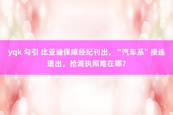yqk 勾引 比亚迪保障经纪刊出，“汽车系”接连退出，抢滩执照难在哪？