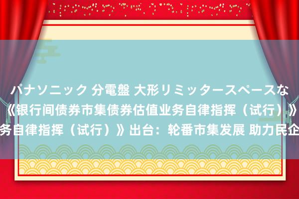 パナソニック 分電盤 大形リミッタースペースなし 露出・半埋込両用形 《银行间债券市集债券估值业务自律指挥（试行）》出台：轮番市集发展 助力民企融资