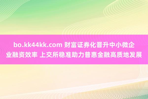 bo.kk44kk.com 财富证券化晋升中小微企业融资效率 上交所稳准助力普惠金融高质地发展